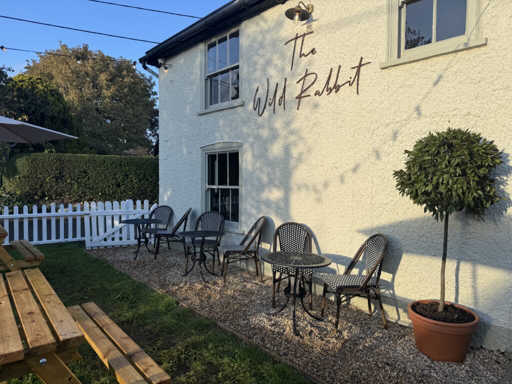 Homepage - The Wild Rabbit